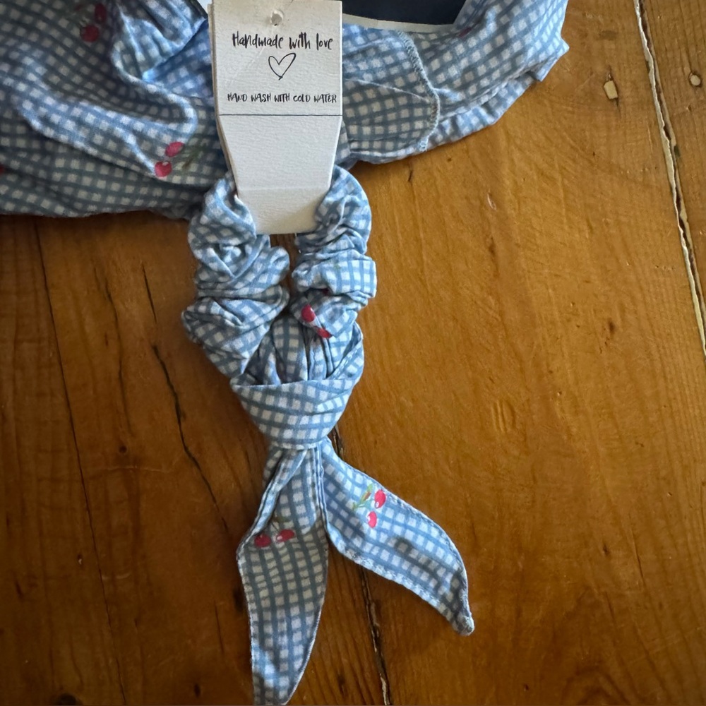 Japna Blue Gingham Cherry Printed Dress NEW - Picture 7 of 7